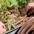 Pope Drip Eze Drip Irrigation Tube 13mm x 30m - UV Resistant Polyethylene