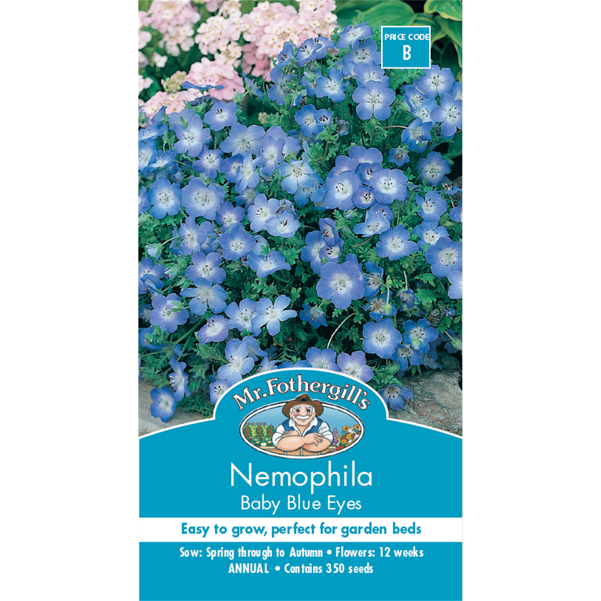 Mr Fothergill Nemophila Baby Blue Eyes Seeds 75mm Easy Grow Annual - SuperSaverAU - view 1