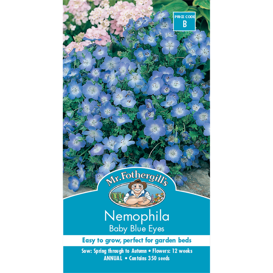 Mr Fothergill Nemophila Baby Blue Eyes Seeds 75mm Easy Grow Annual - SuperSaverAU - view 1