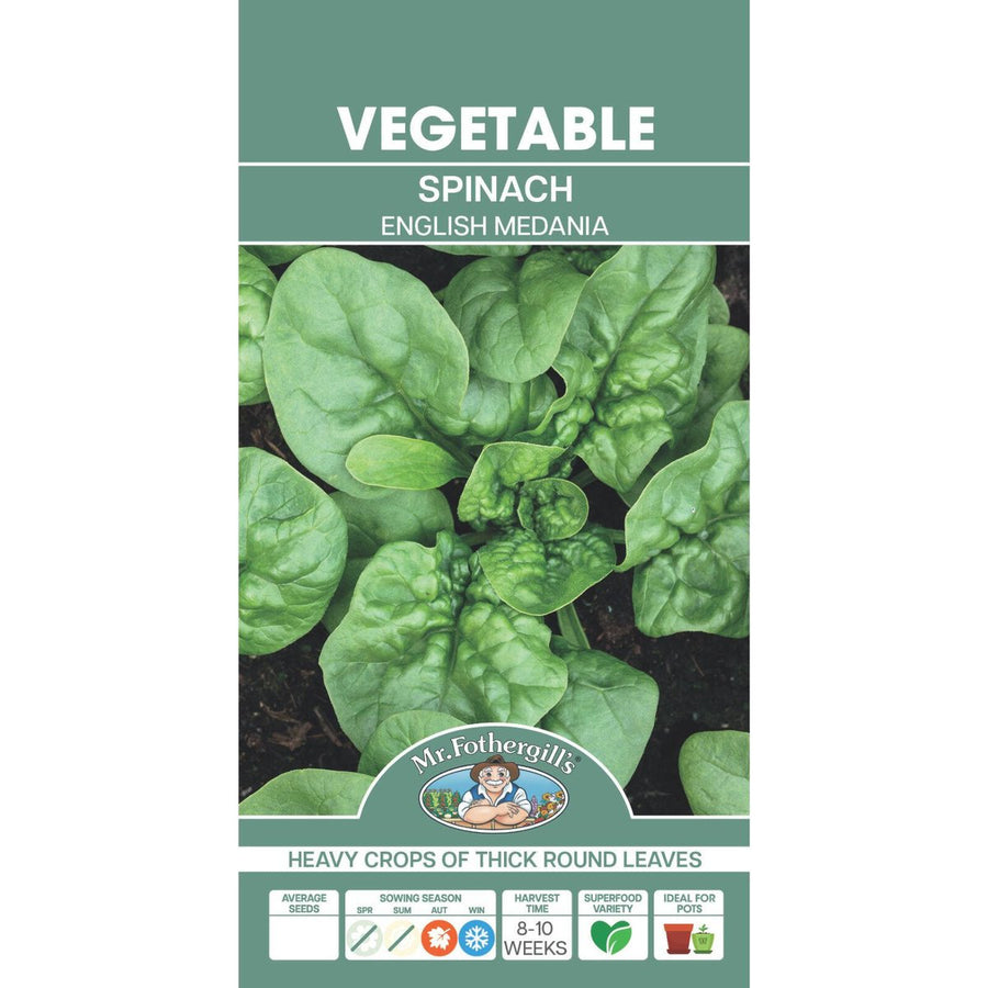 Mr Fothergill Spinach Seeds - Approx. 250 Seeds - Good Mildew Resistance - SuperSaverAU - view 1