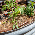 Pope Drip Eze Drip Irrigation Tube 13mm x 30m - UV Resistant Polyethylene