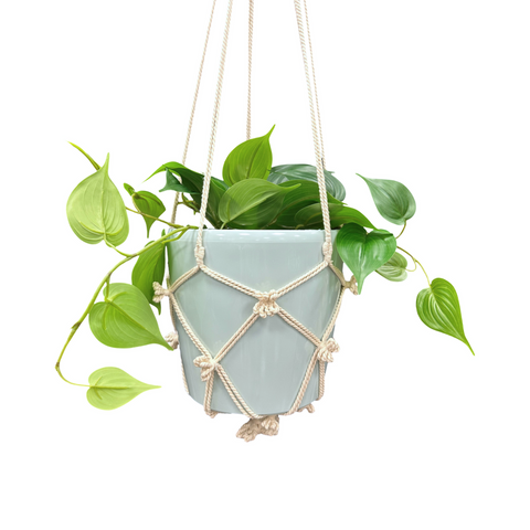 Eden 110cm Cotton Macrame Hanger - Hand-Woven Plant Display with Tassels - SuperSaverAU - view 2