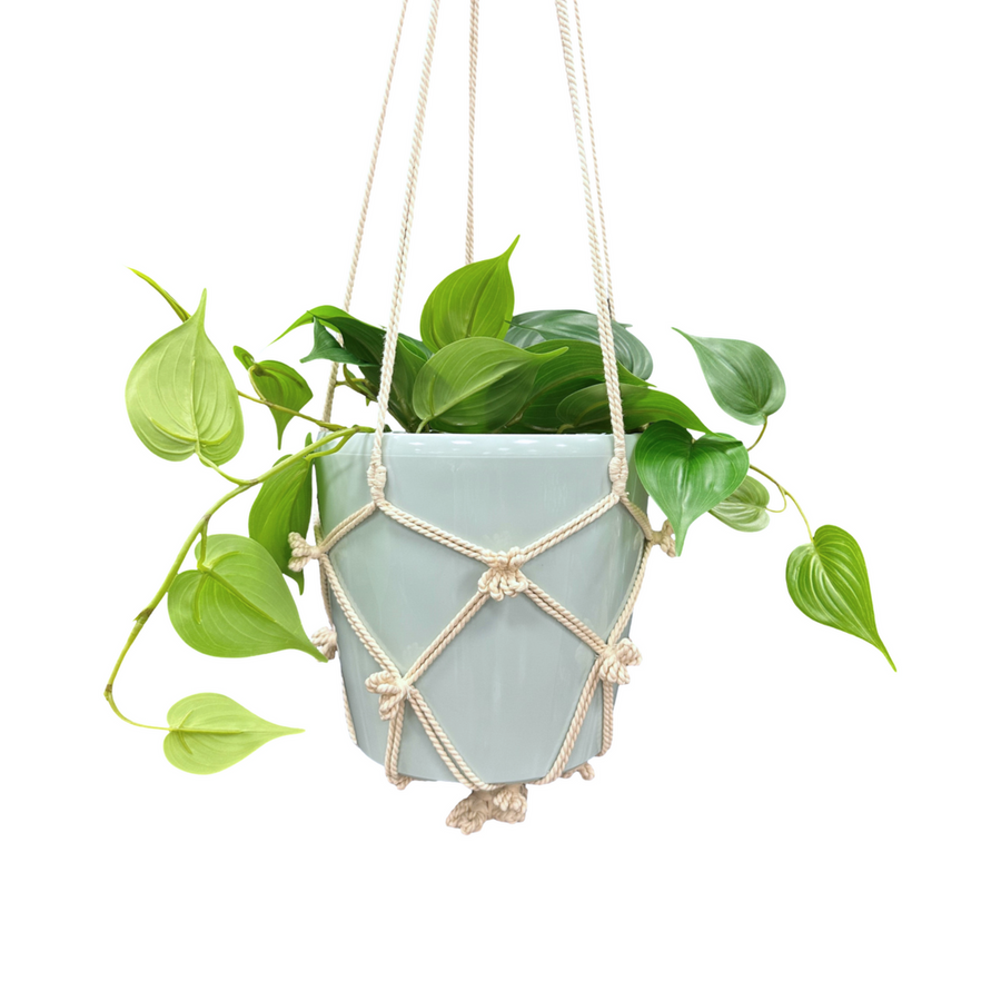 Eden 110cm Cotton Macrame Hanger - Hand-Woven Plant Display with Tassels - SuperSaverAU - view 2