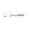 Zenith M16 x 120mm Hot Dip Galvanised Cup Head Bolt and Nut - Each