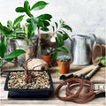 Jack Bonsai Wire 3 Pack - 1.5mm, 2mm, 4mm - Flexible Branch Training - SuperSaverAU - view 5