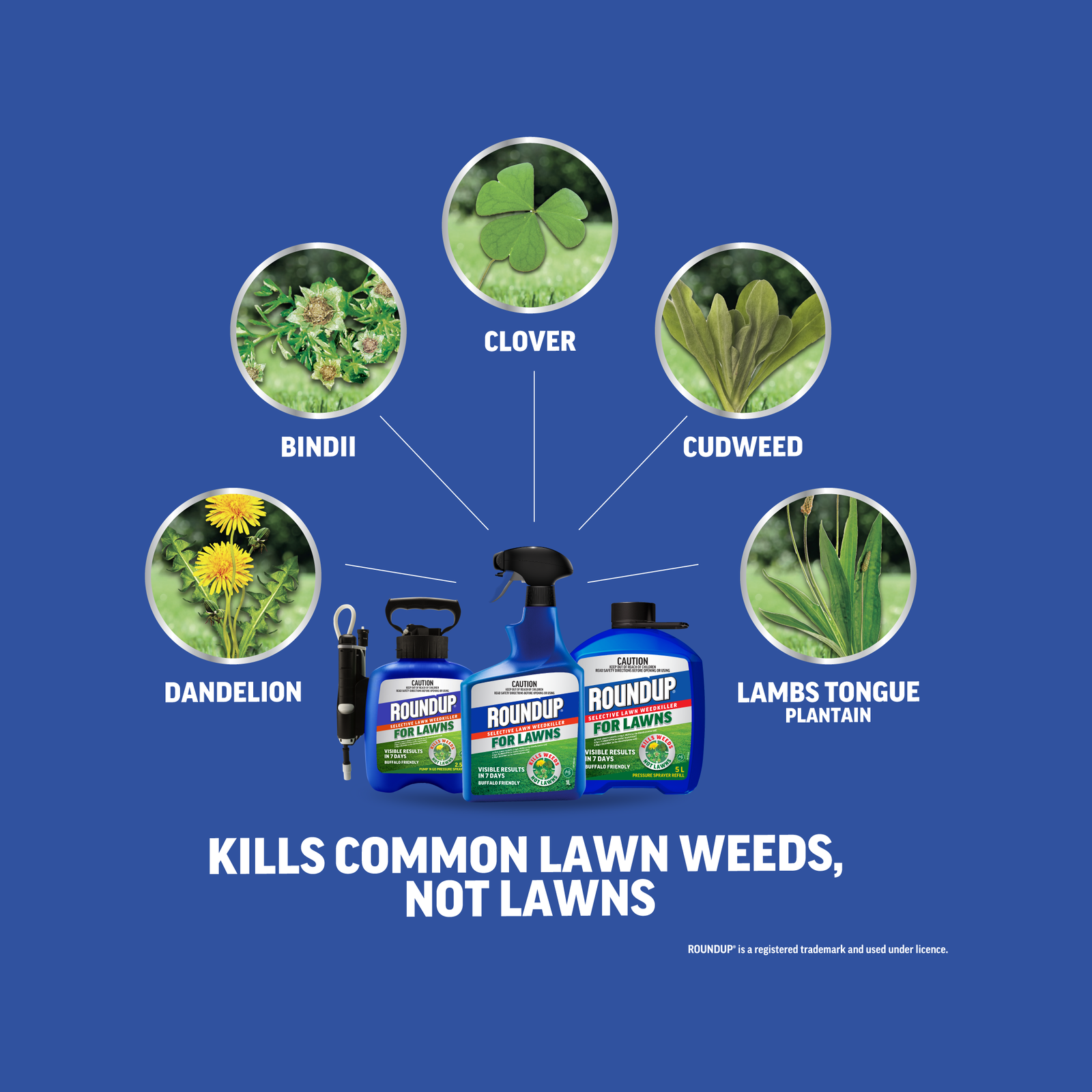 Roundup For Lawns 1L Ready To Use Selective Lawn Weedkiller