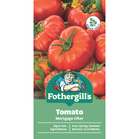 Mr Fothergill's Mortgage Lifter Tomato Heirloom Seeds, Large Beefsteak Fruit