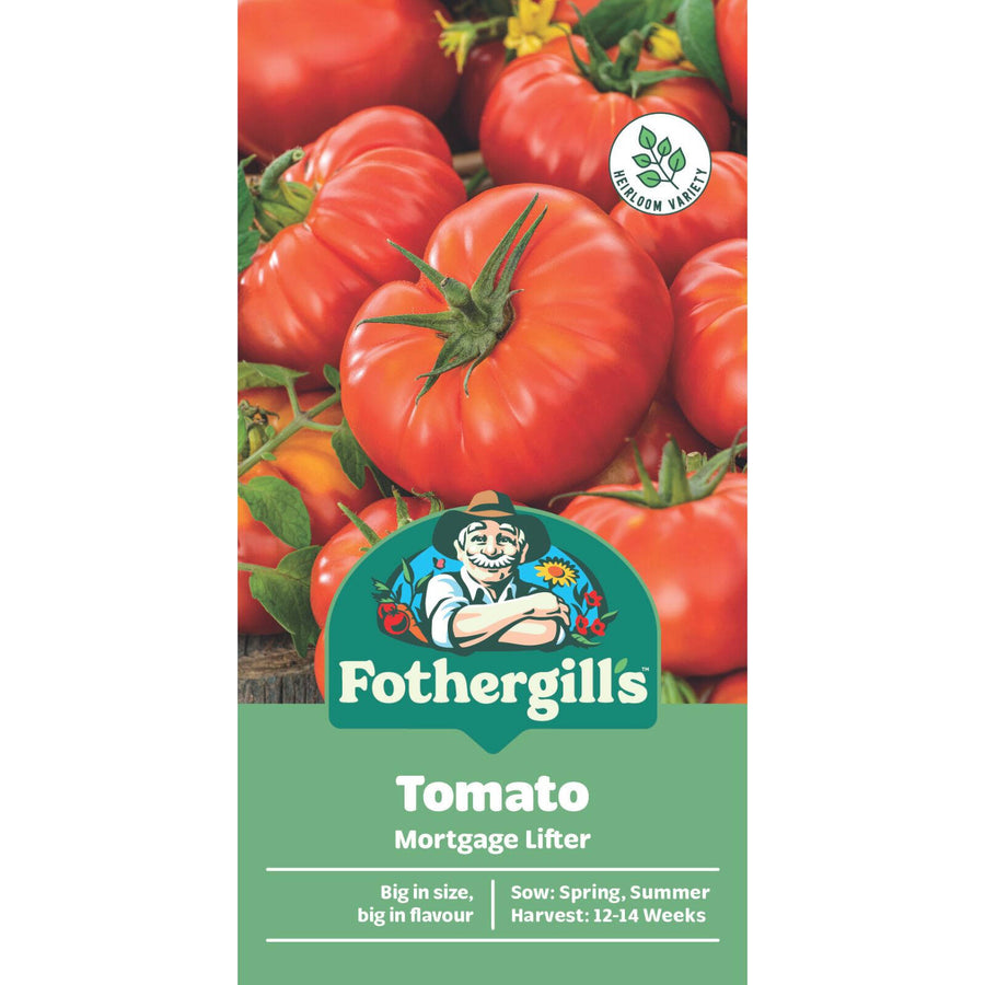 Mr Fothergill's Mortgage Lifter Tomato Heirloom Seeds, Large Beefsteak Fruit