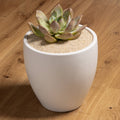 Tuscan Path Decorative Natural Sand Pebble - 2kg - 0.2mm - Natural Sandy Hue - Indoor/Outdoor Use - SuperSaverAU - view 2