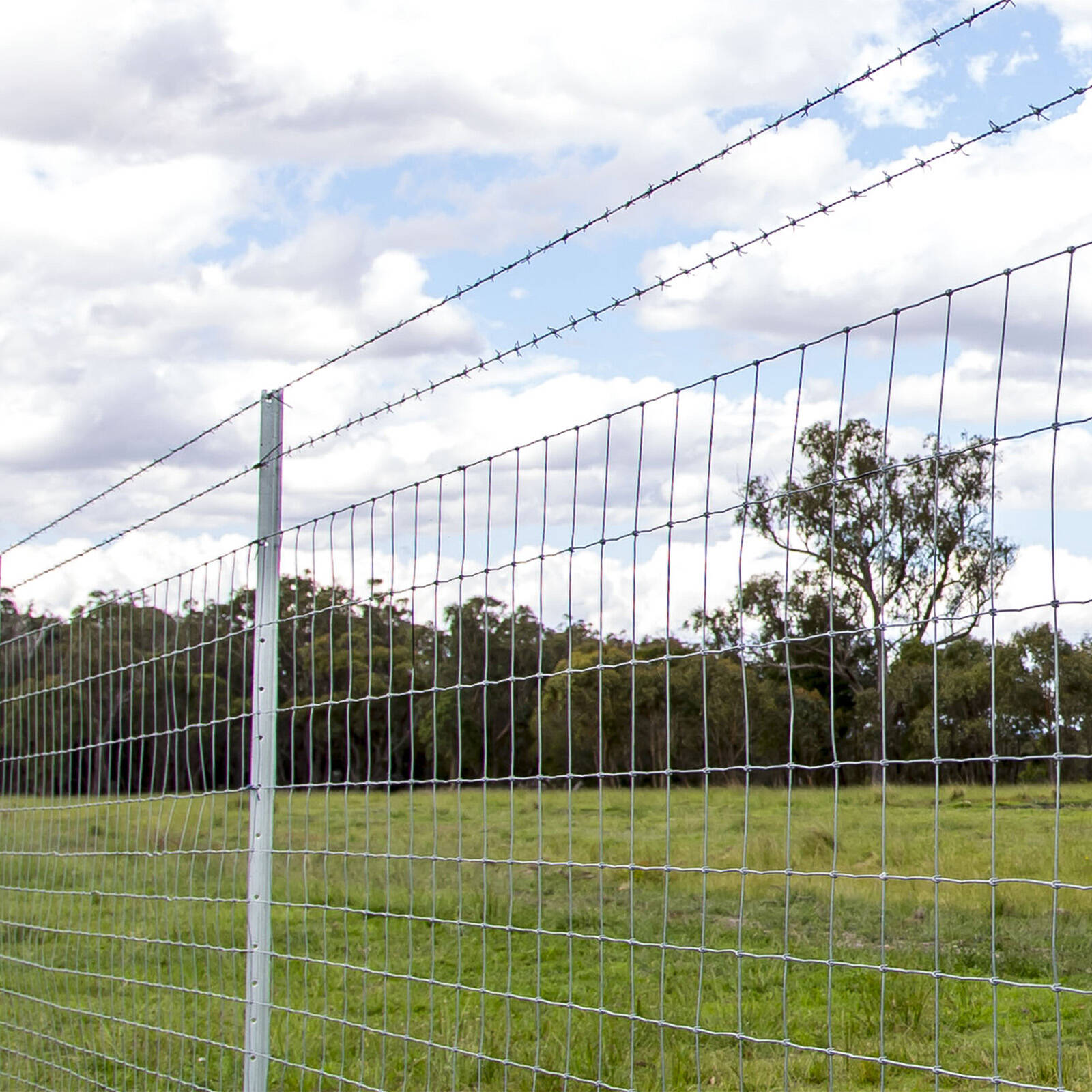 Jack 1.57mm x 30m High Tensile Galvanised Steel Barbed Wire
