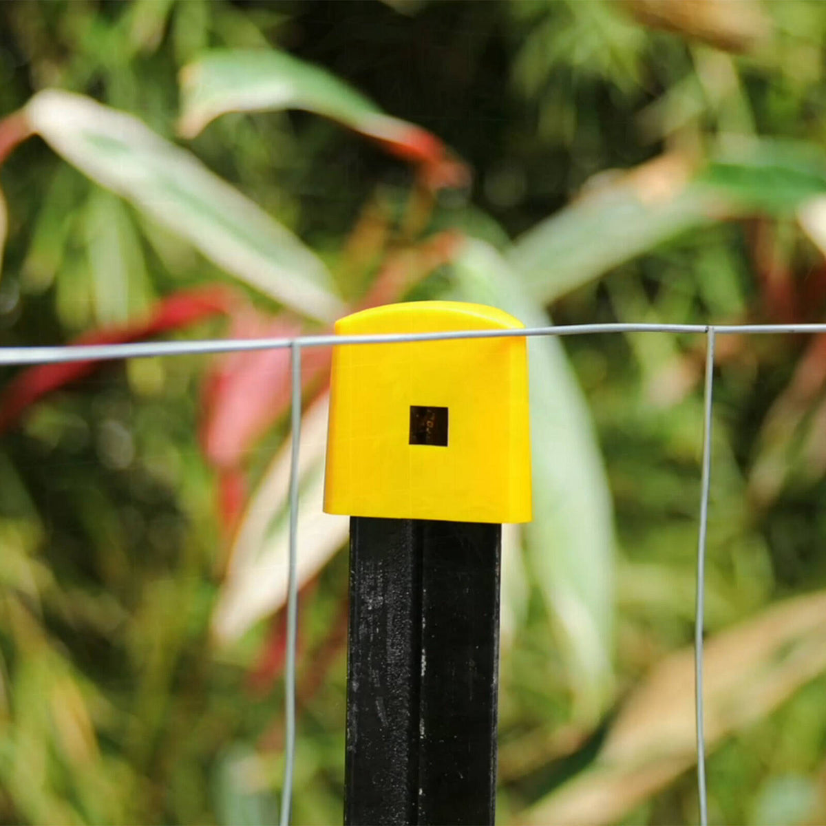 Jack Yellow Plastic Post Cap 60mm