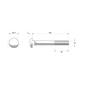 Zenith M12 x 100mm Hot Dip Galvanised Cup Head Bolt & Nut - 4.6 Grade Steel