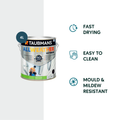 Taubmans All Weather Exterior Paint - 4L - White - Semi Gloss - Mould Resistant - Fast Drying - SuperSaverAU - view 2