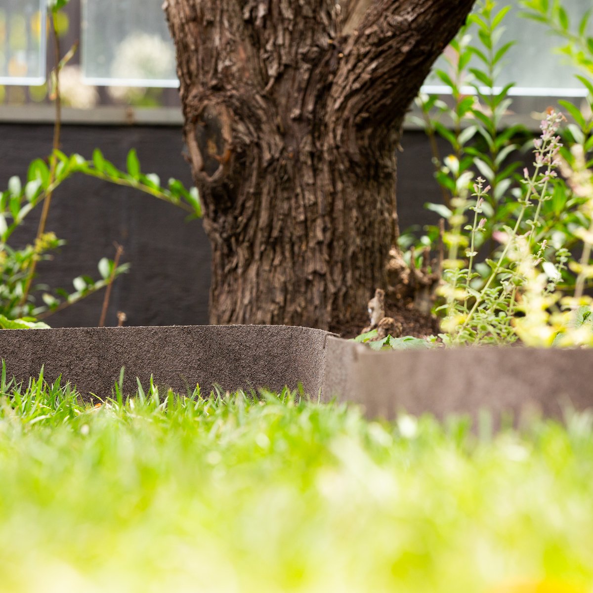 Tuscan Path Rubber Thinline Edging 6m x 12cm Durable Eco-Friendly - SuperSaverAU - view 4