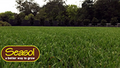 Seasol 2 x 2L Hose On Super Soil Wetter & Conditioner Twin Pack