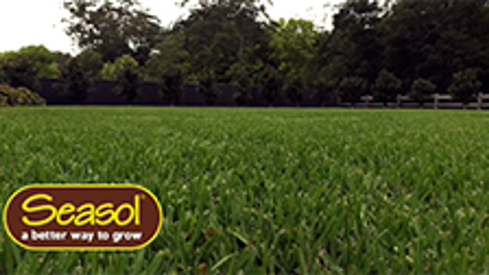 Seasol 2 x 2L Hose On Super Soil Wetter & Conditioner Twin Pack