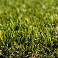 Tuff Turf Synthetic Turf - 1m x 4m - PE - Anti-Bacterial - SuperSaverAU - view 5