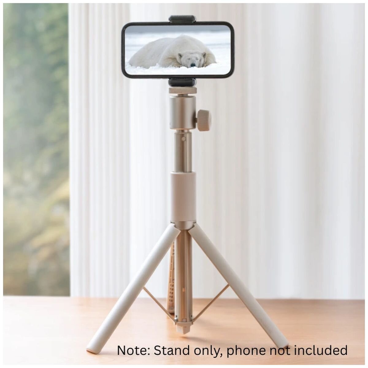 Xgimi Portable Projector Stand - Desktop or Floor Use, Holds Up to 4.2kg, 485g, Light Gold - T003R