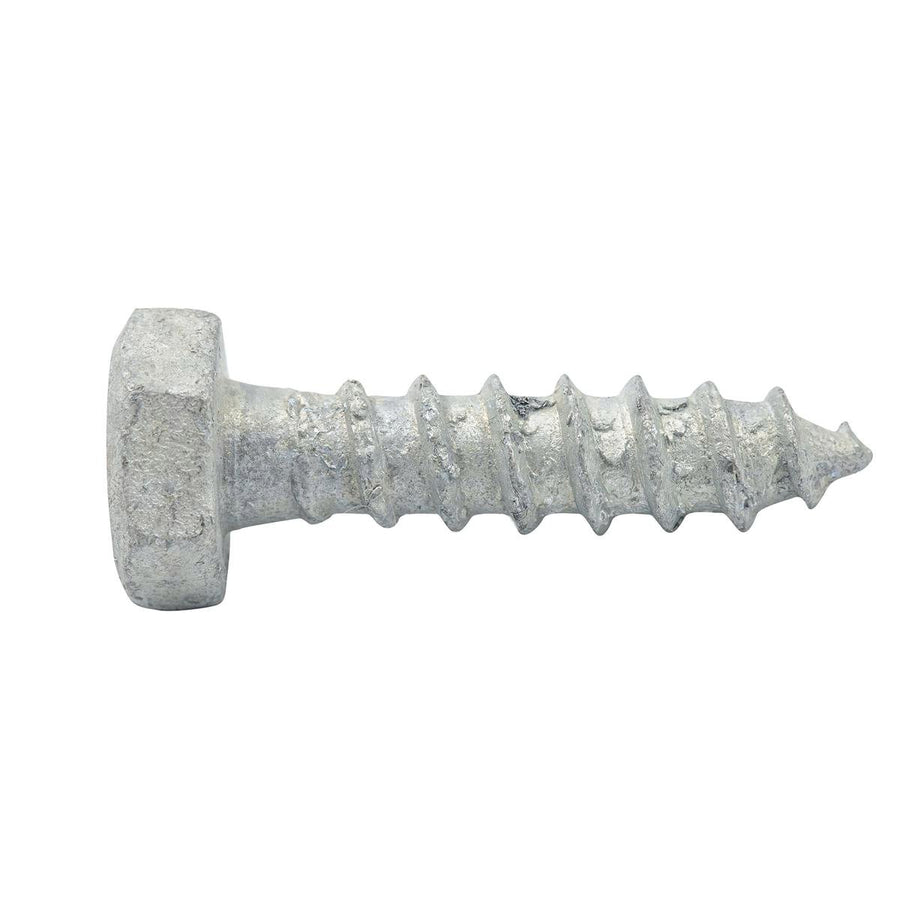 Zenith M6 x 25mm Hot Dipped Galvanised Coach Screw - Steel - Durable - SuperSaverAU - view 1
