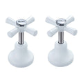 Shaw & Mason White Easy Clean Basin Top Assembly - Brass, Pair