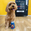 Baxter Bone Dog Cola Soda Can Plush Toy - 60mm x 140mm - Durable & Squeaky - SuperSaverAU - view 3
