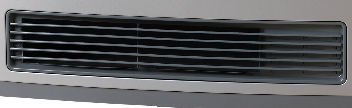 Rinnai Avenger LPG Gas Heater - Heats up to 97sqm - Platinum Silver - Dual Timers - Economy Mode - AV25SL3