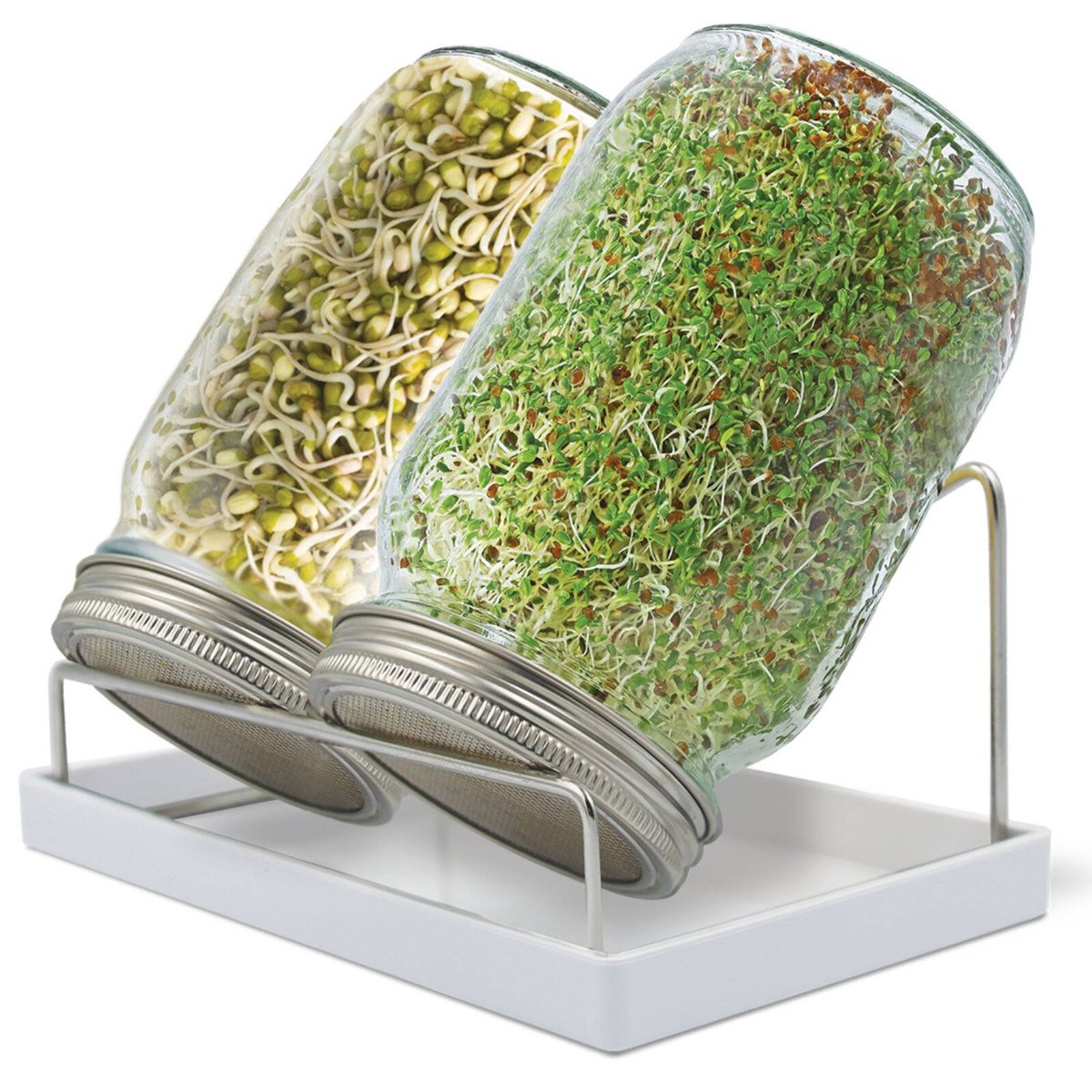 Mr Fothergill S Twin Sprouter Jar Grow Kit - 210mm x 200mm x 125mm - Compact Design - Includes Alfalfa & Mung Bean Seeds - SuperSaverAU - view 2