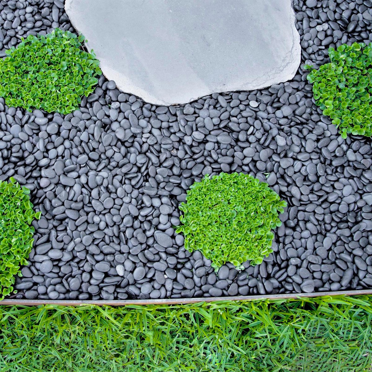 Tuscan Path Black Natural Pebbles 15-20mm 5kg for Landscaping - SuperSaverAU - view 2