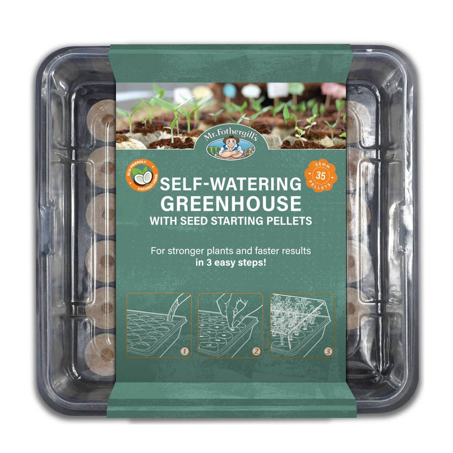 Mr Fothergill S 35 Cell Self Watering Coco Fibre Propagation Greenhouse - 600mm x 200mm x 400mm - Green - Promotes Healthy Root Development - SuperSaverAU - view 1