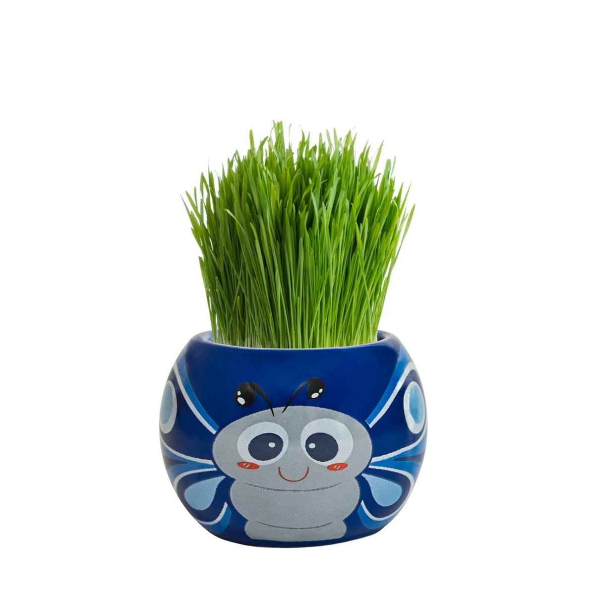 Mr Fothergill Grass Hair Butterfly Grow Kit - 1 Animal Pot - 60mm x 60mm - SuperSaverAU - view 2