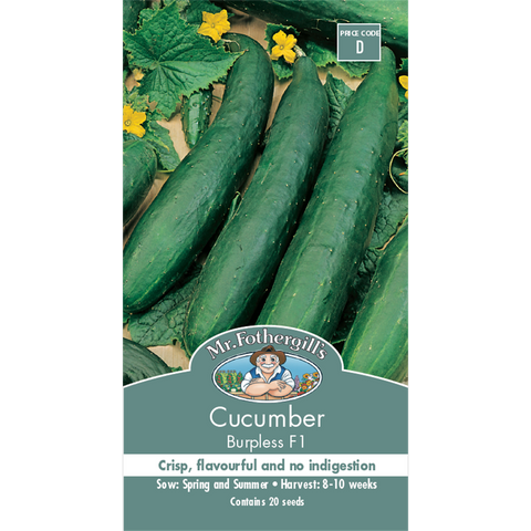 Mr Fothergill Cucumber Seeds - 10 Weeks - Vegetable - Burpless Variety - SuperSaverAU - view 1