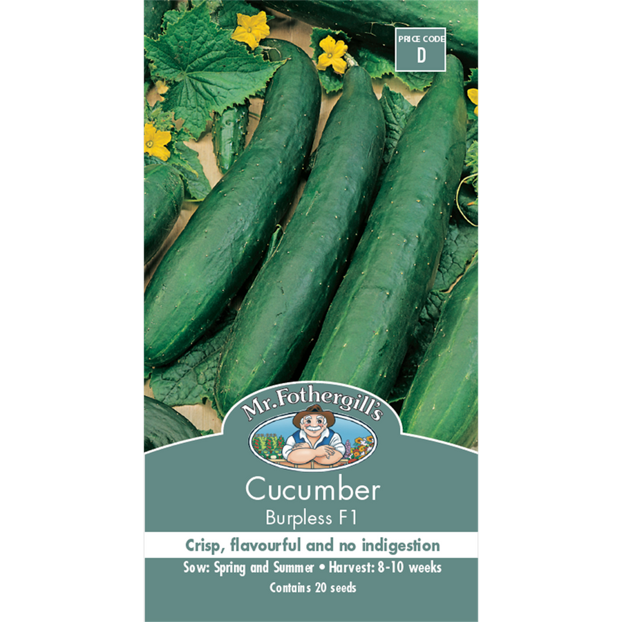Mr Fothergill Cucumber Seeds - 10 Weeks - Vegetable - Burpless Variety - SuperSaverAU - view 1