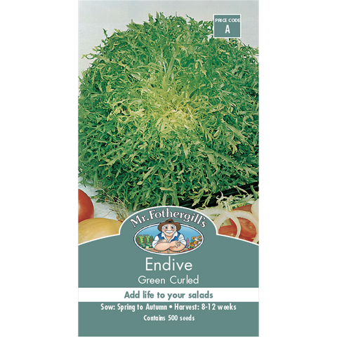 Mr Fothergill Endive Vegetable Seeds - 75mm Green - Crisp Salad Benefit - SuperSaverAU - view 1