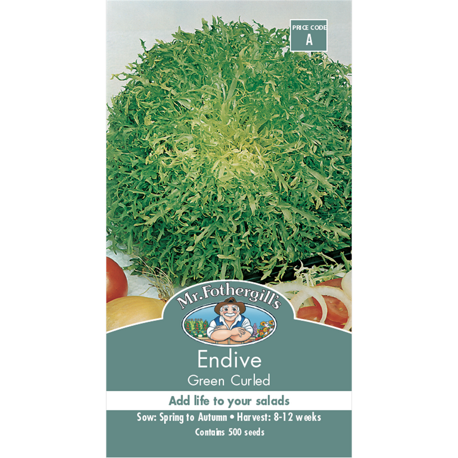 Mr Fothergill Endive Vegetable Seeds - 75mm Green - Crisp Salad Benefit - SuperSaverAU - view 1