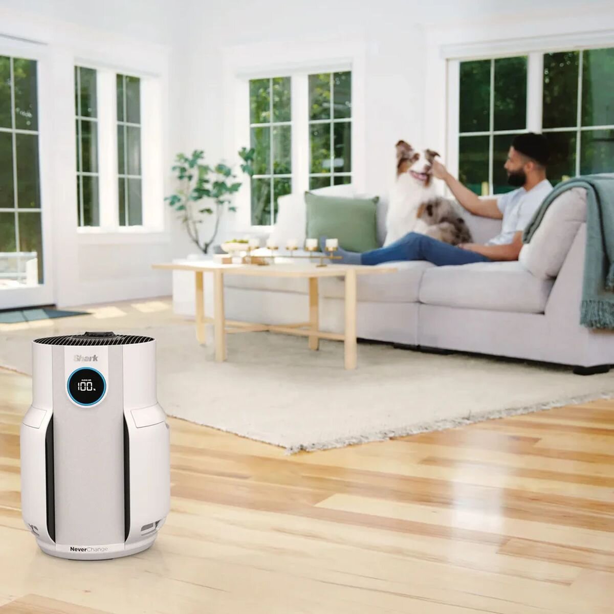 Shark NeverChange5 Air Purifier - 5-Year Filter, Up to 60 Square Metres, Four Fan Speeds, White - HP150