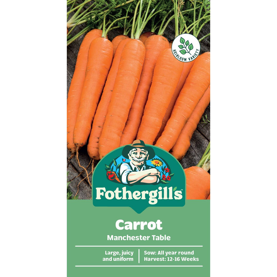 Mr Fothergill's Manchester Table Carrot Seeds - Long Cylindrical Rich-Coloured Roots