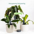 Willow Smart Indoor Plant Sensor Plant Parent Pack Charcoal