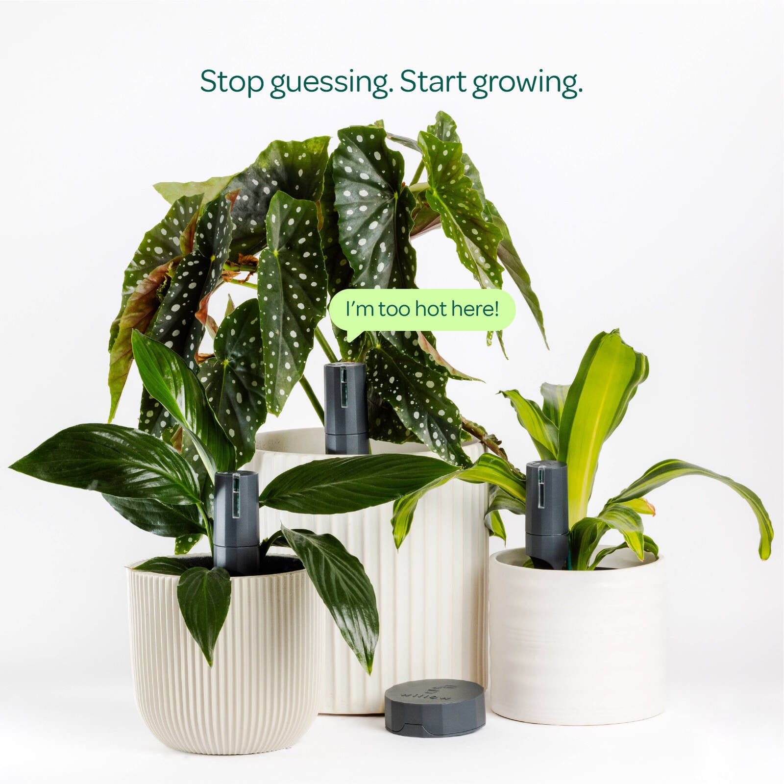 Willow Smart Indoor Plant Sensor Plant Parent Pack Charcoal