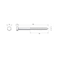 Zenith M12 Hex Head Coach Screws - 150mm - 12 Pack - Hot Dip Galvanised - Heavy-Duty - SuperSaverAU - view 3