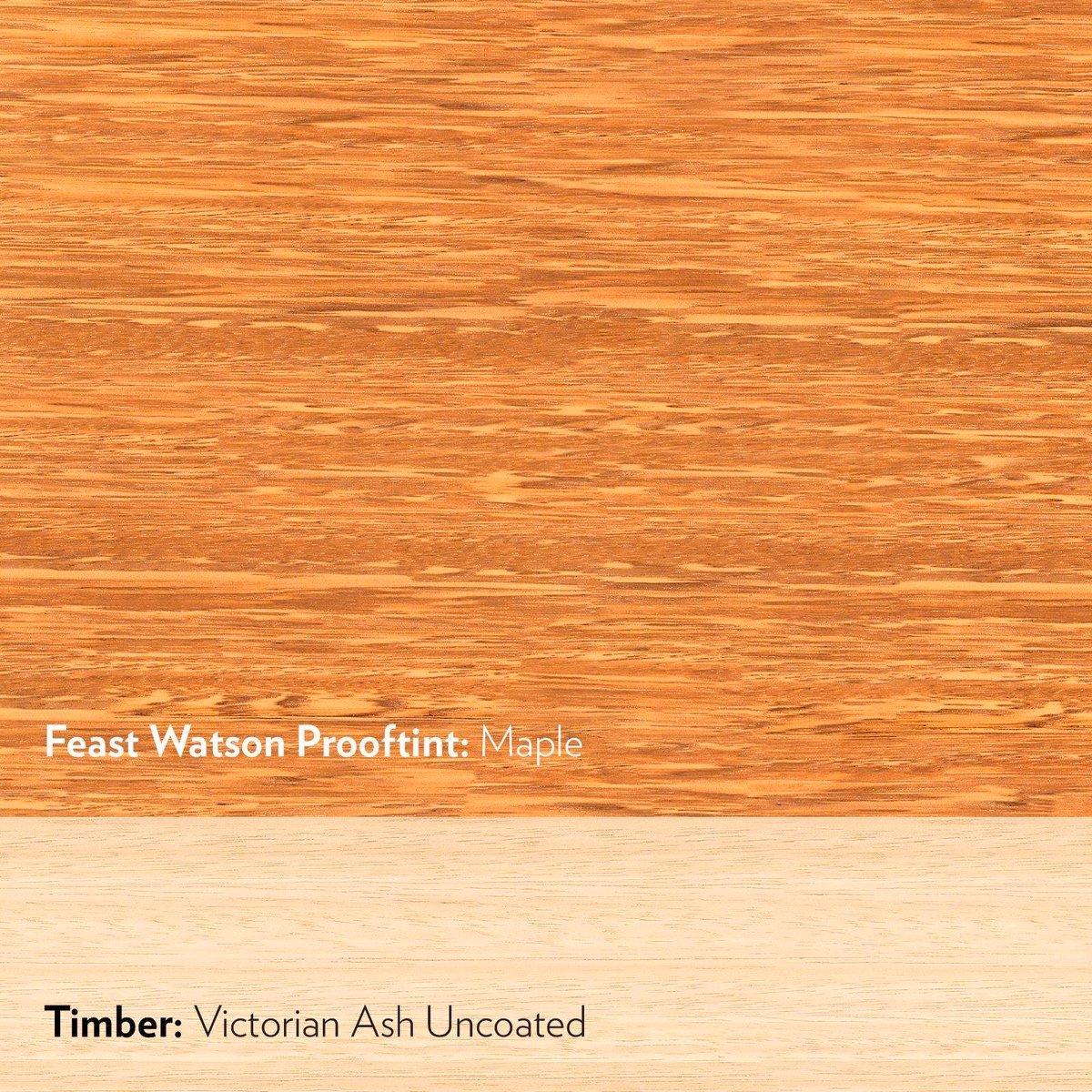 Feast Watson Prooftint - 250ml - Oil Based - Maple - Interior Stain - SuperSaverAU - view 2