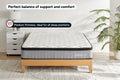 Ergolux Comfort Plus Pocket Spring Mattress (Double)