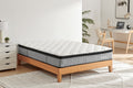 Ergolux Comfort Plus Pocket Spring Mattress (Queen)
