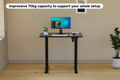 Ergolux Electric Standing Desk 90 x 60cm (Black/Black)