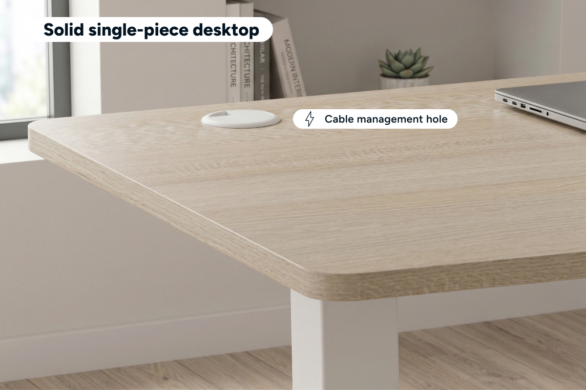 Ergolux Electric Standing Desk 90 x 60cm (Oak/White)