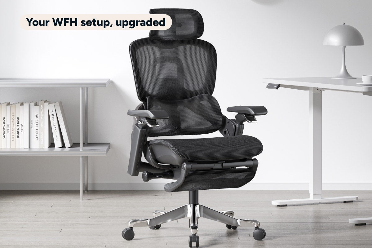 Ergolux Elite Ergonomic Mesh Office Chair with Footrest (Black)