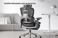 Ergolux Elite Ergonomic Mesh Office Chair with Footrest (Black)