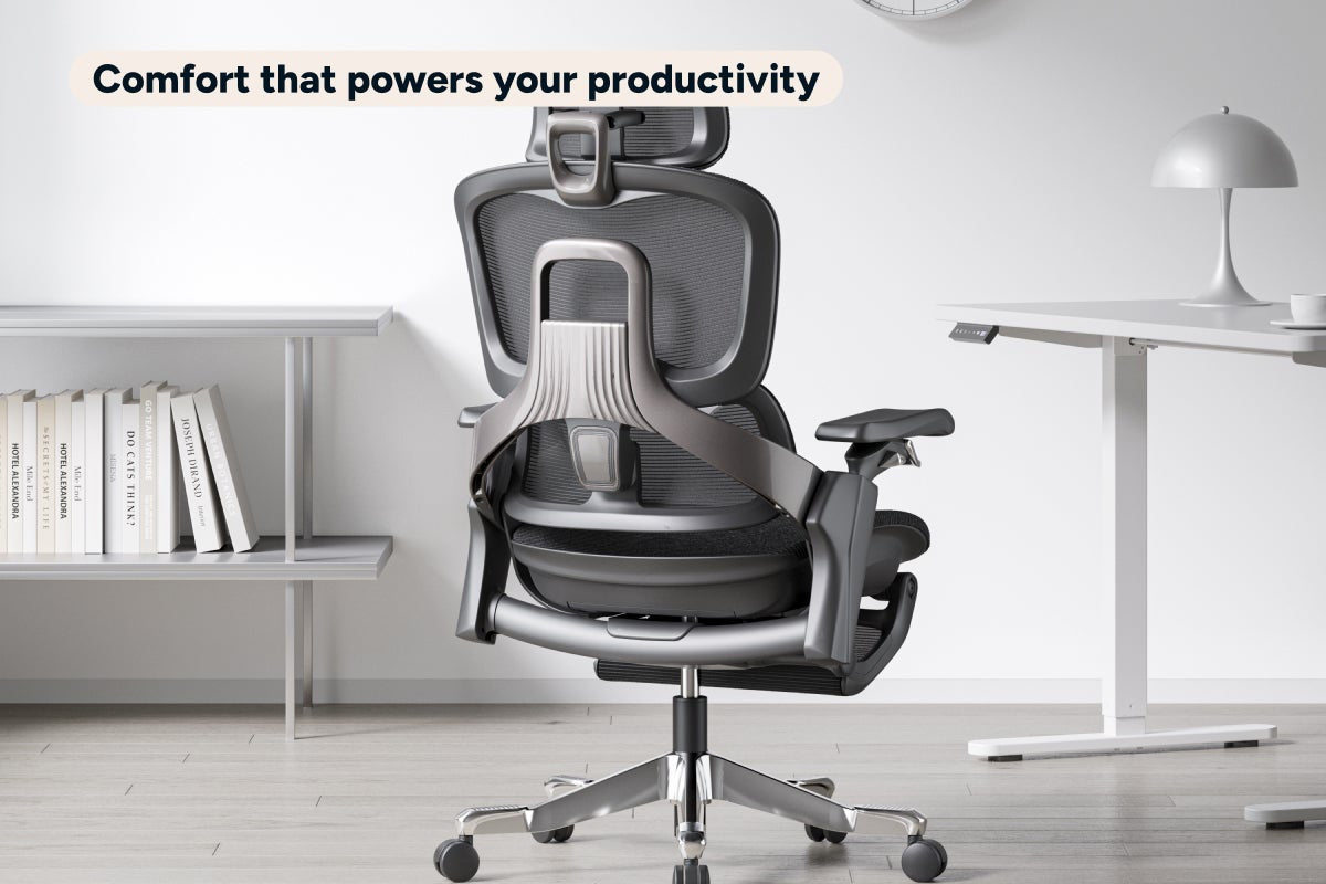 Ergolux Elite Ergonomic Mesh Office Chair with Footrest (Black)