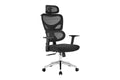 Ergolux Core Ergonomic Foam Office Chair (Black)
