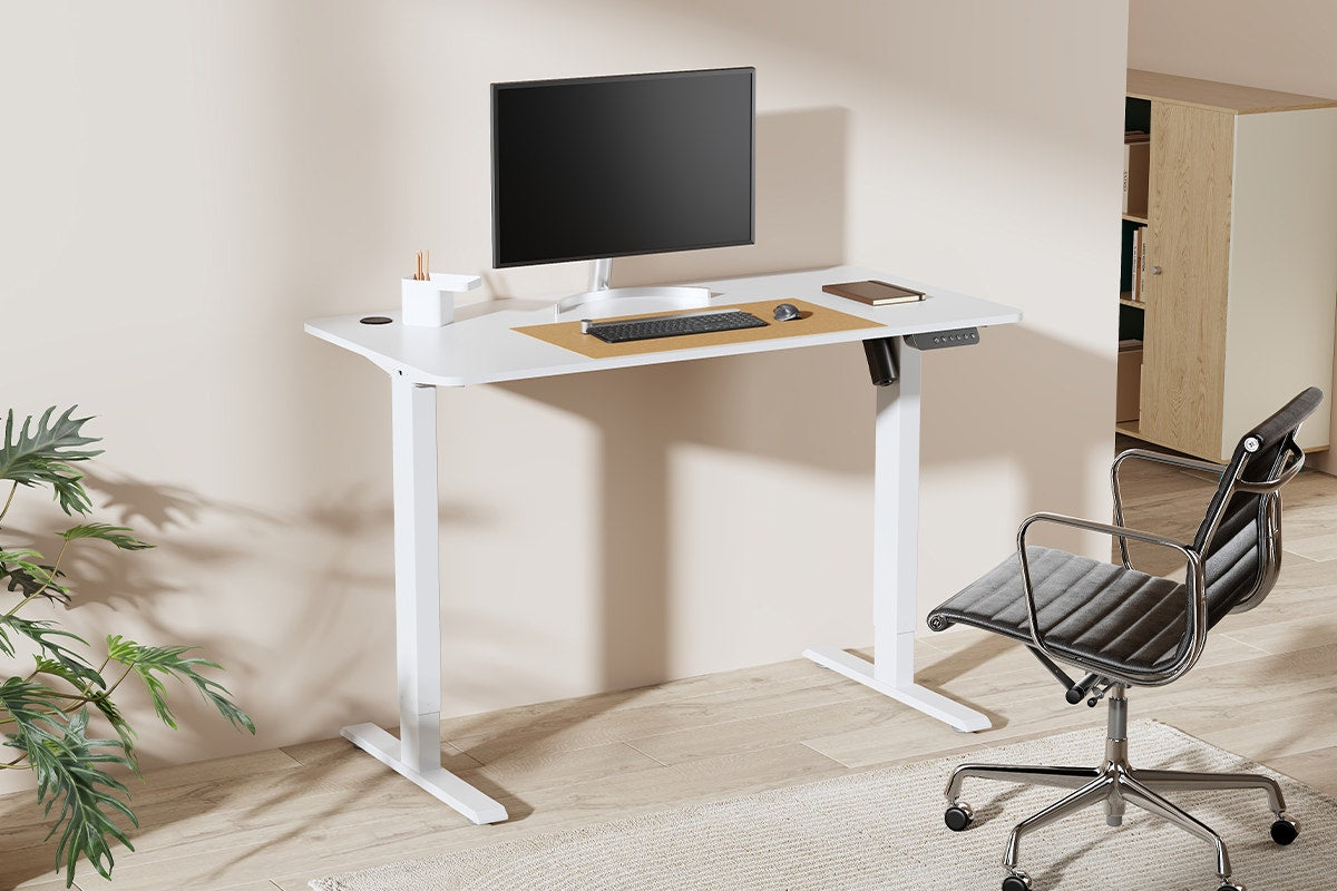 Ergolux Electric Standing Desk 120 x 60cm (White/White)