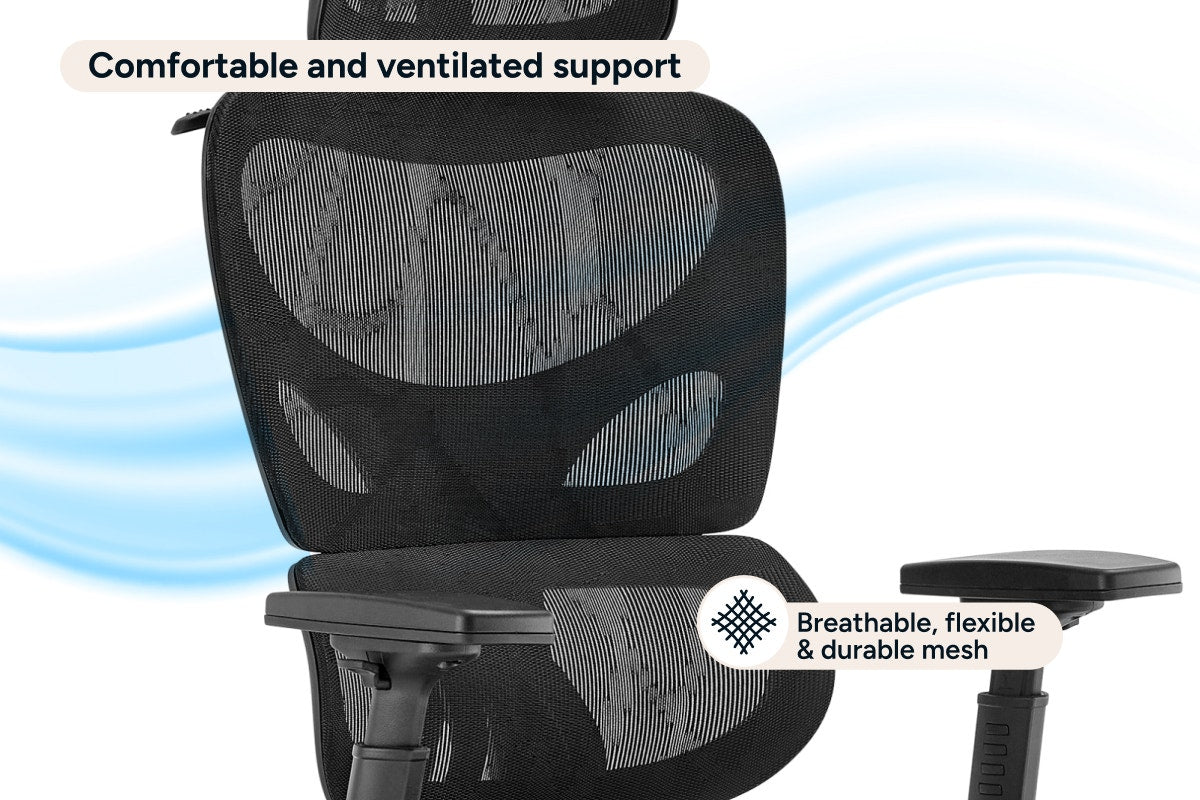 Ergolux Plus Ergonomic Mesh Office Chair with Footrest (Black)